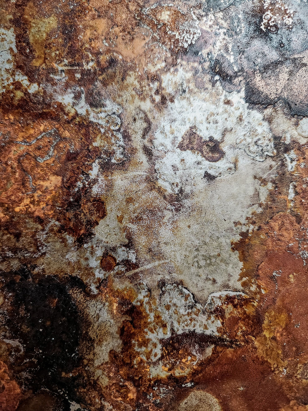 Thumbnail: Assemblage