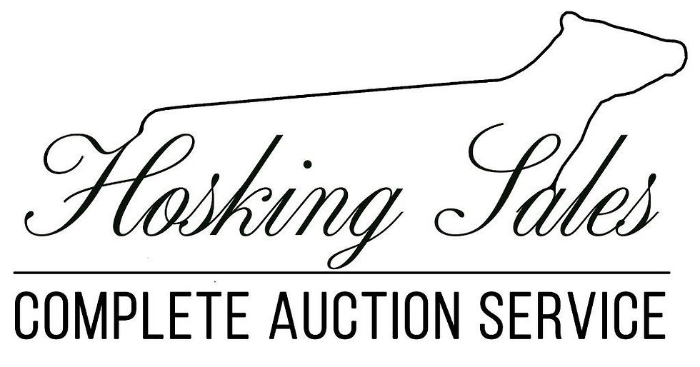 Hosking Sales logo 2024.jpg