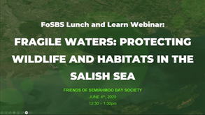 Webinar Recording – World Ocean’s Day 2025 | Surrey’s Environmental Extravaganza