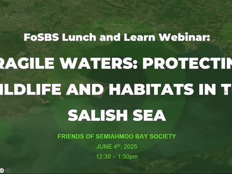 Webinar Recording – World Ocean’s Day 2025 | Surrey’s Environmental Extravaganza