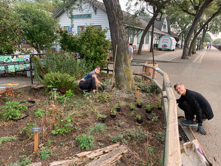 Summer Highlights with Friends of Semiahmoo Bay Society