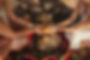 ceremonial cacao fruit.jpg