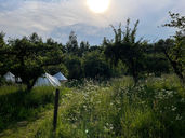 healing retreat sweden