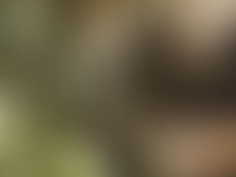 what is shamanic breathwork