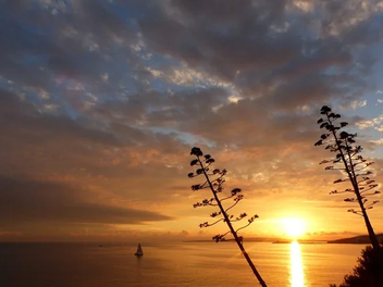 Why Mallorca? A runner´s thoughts...