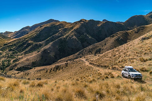 Molesworth Tour with Driftwood Eco Tours