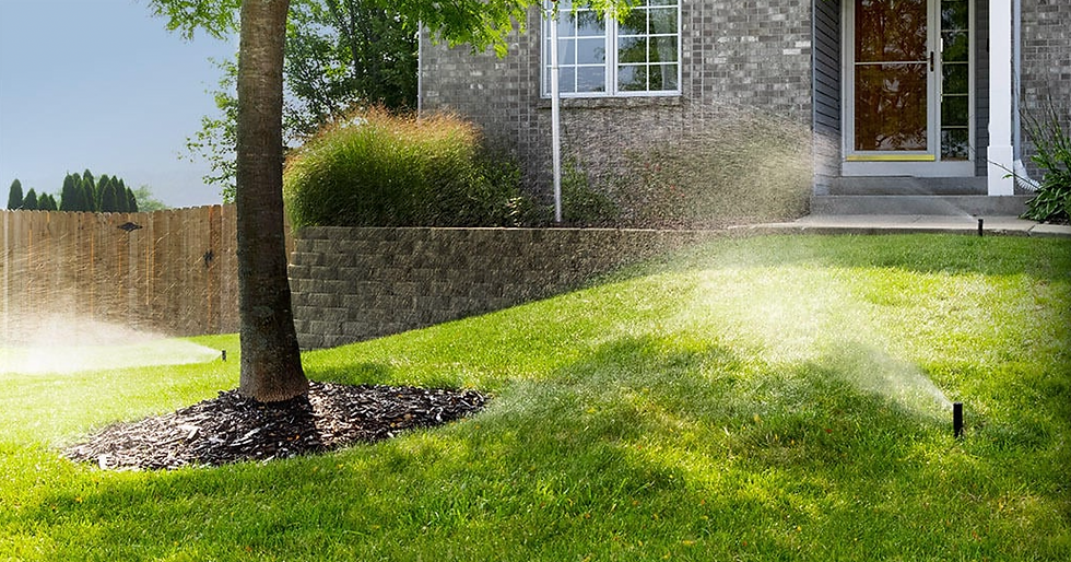 Screen Shot 2023-01-10 at 1.07.25 PM.png