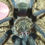 Thumbnail: Thrixopelma pruriens (Peruvian Green Velvet) 2.5" Female