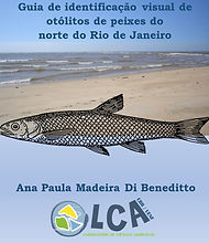 Guia de identificação visual de otólitos de peixes do norte do Rio de Janeiro.