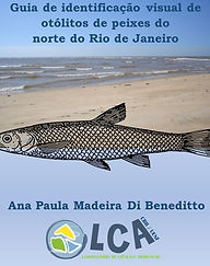 Guia de identificação visual de otólitos de peixes do norte do Rio de Janeiro.