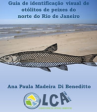 Guia de identificação visual de otólitos de peixes do norte do Rio de Janeiro.