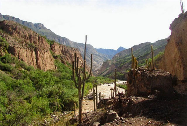 Cañon de Cotahuasi