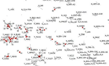 Détection du tissu d’origine chez les patients atteints de cancers d’origine inconnue grâce à l’IA