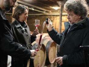 Les vins de Philippe Pacalet