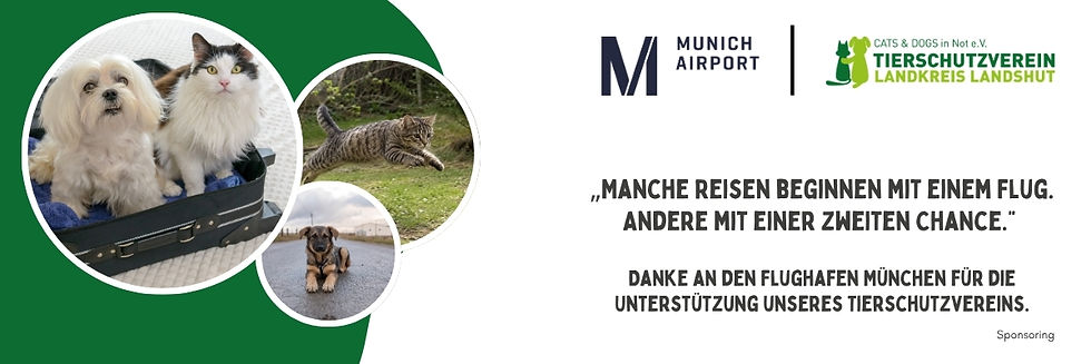 Website Banner.jpg