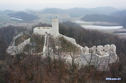 Ruiny, zamku, pilcza, smoleniu, góra, las, lasem, zabytek, śnieg, zima