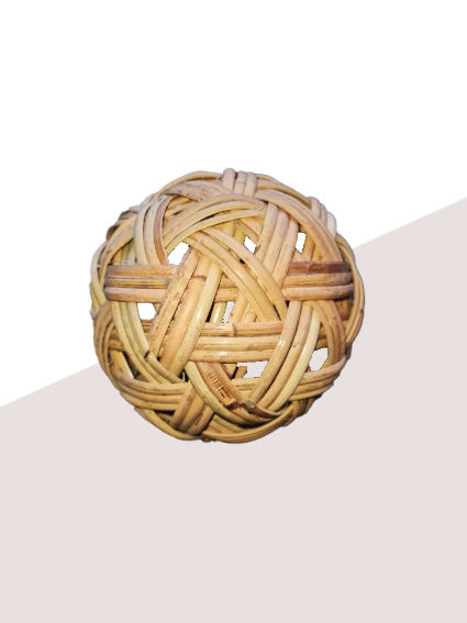 DIS_Sepak Takraw