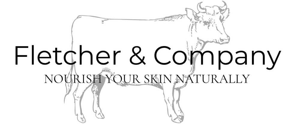 Fletcher & Company WIX logo.png