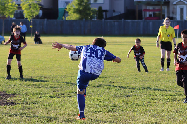 IMG_2319.JPG