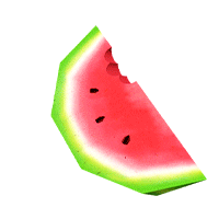 watermelon