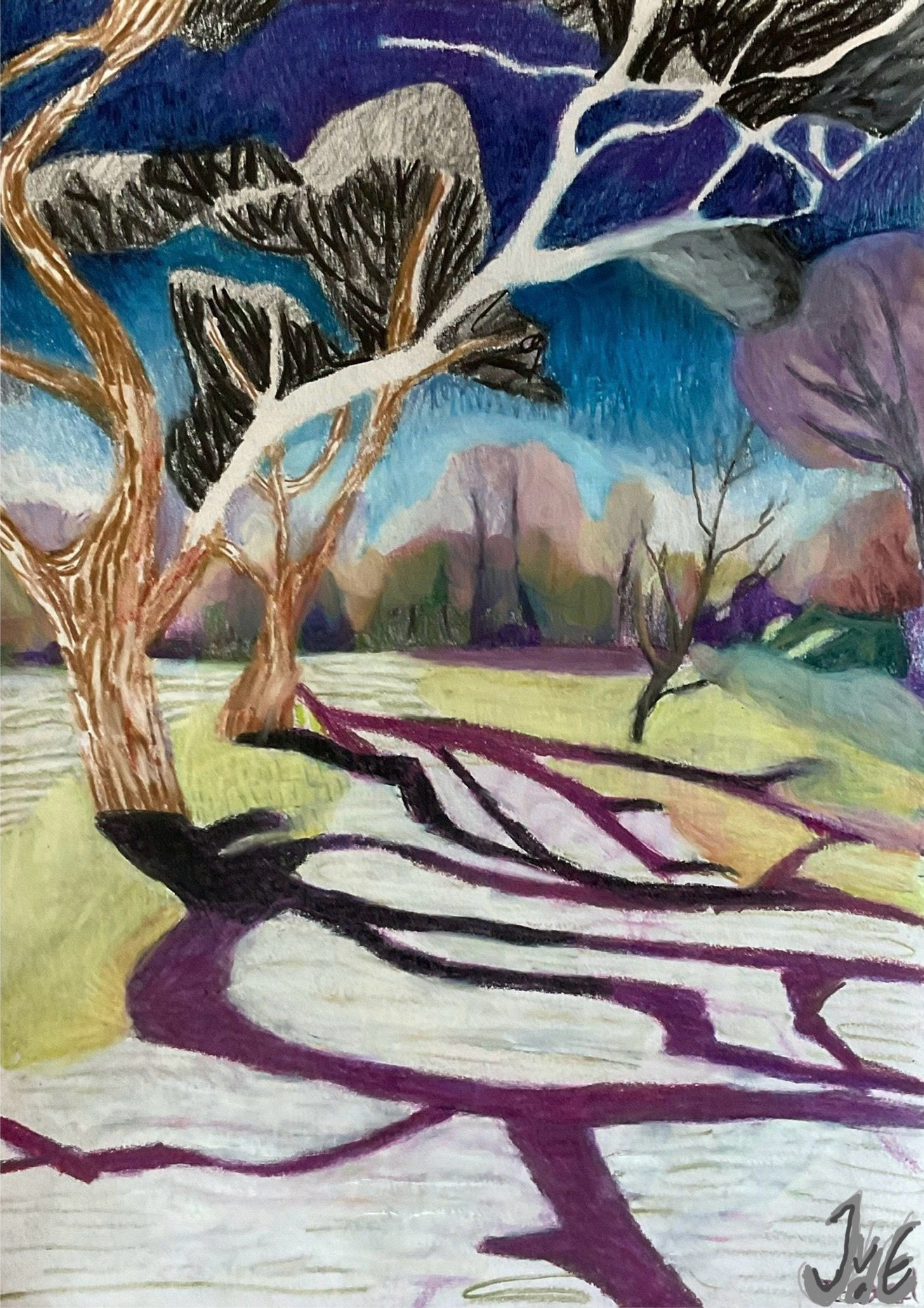 Purple Shadows, Vondelpark