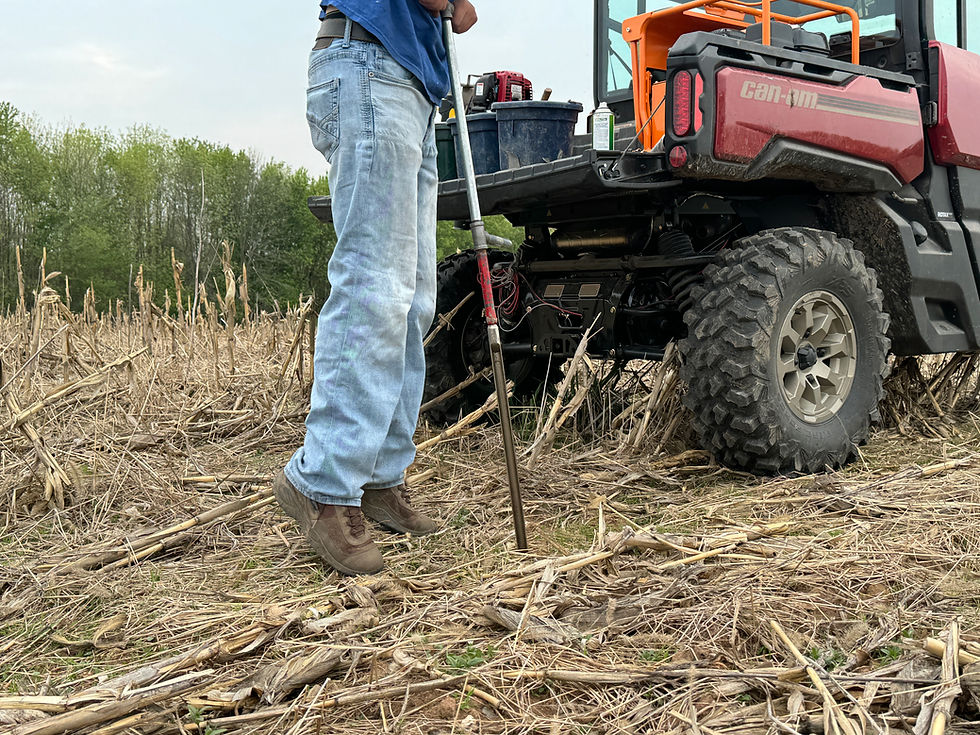 *Soil Testing* Close up of a man in jeans taking a soil sample on an agricultural field.