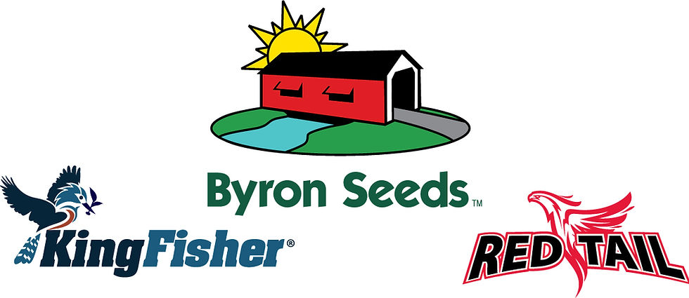 BYR LOGO COLLAGE.jpg