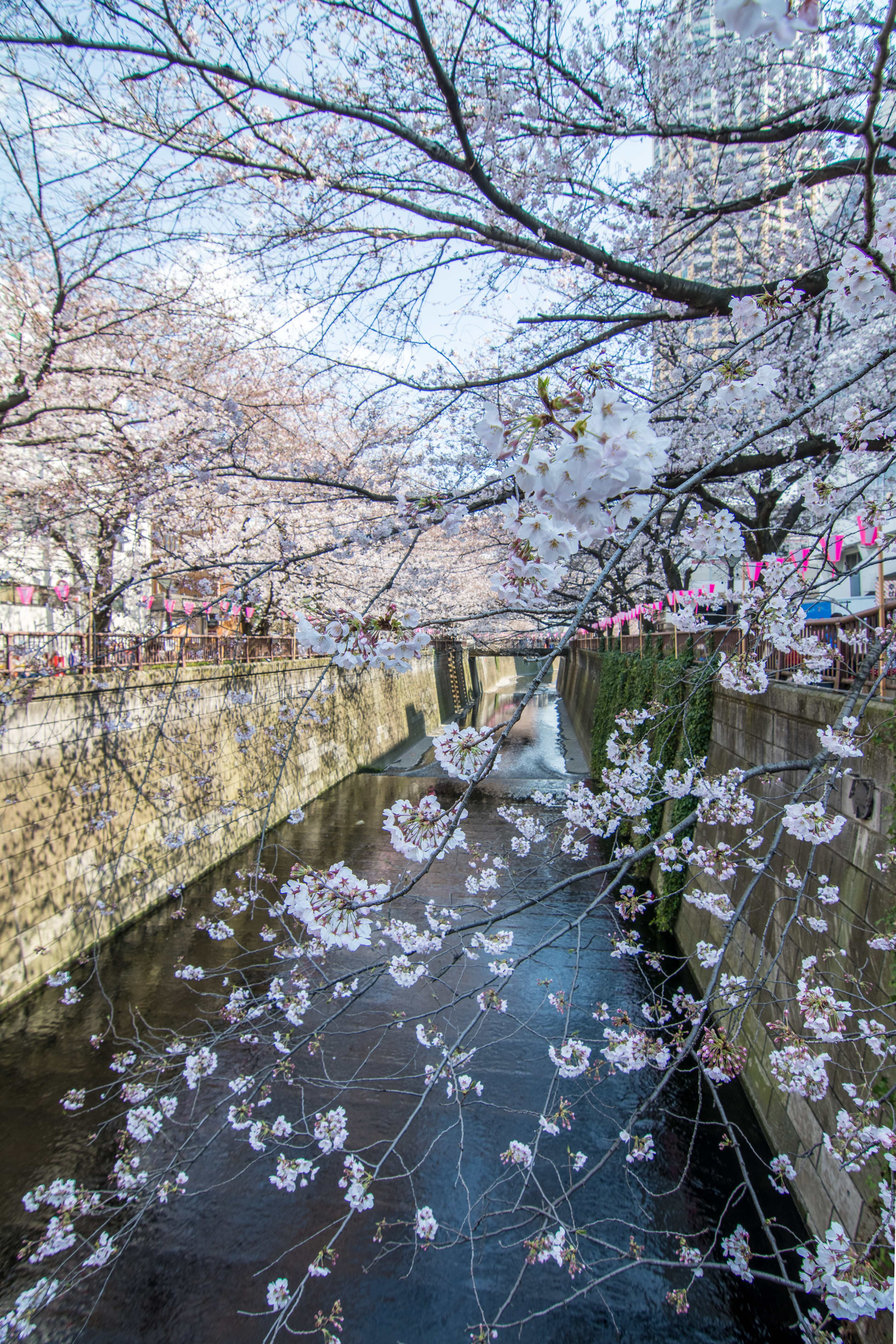 DSC_7260-HDR