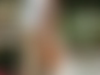 Golden Hour Maternity Session at Cypress Grove Park in Orlando, Florida