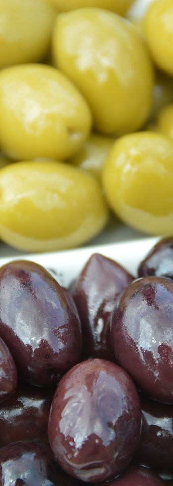 Greek Olives Producer, Chalkidiki Olives