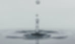 unsplash-UeBFFAPwuj8_edited.jpg