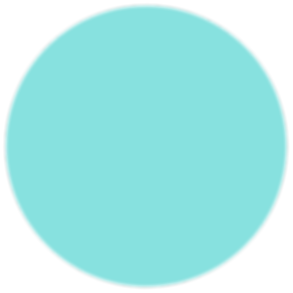 Copy of Untitled Design (1).png