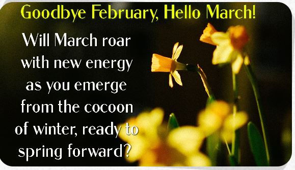 MAR 14 ONLINE AuthorYOU Salons are on Saturday