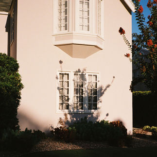 shadows from a rose bush on a house, shot on film