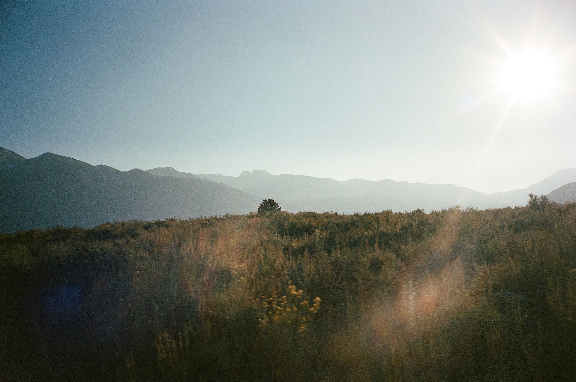 a field and mountains in mammoth lakes at sunset, shot on film