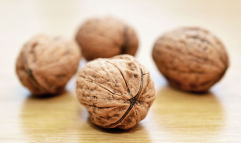 Shelled Walnuts