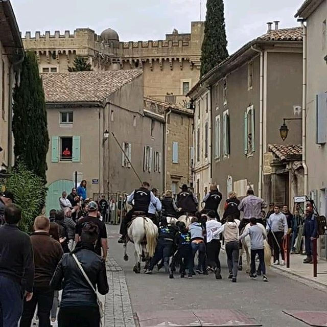 Montaren pâques🐃💯