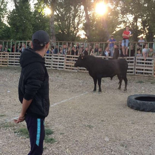 _lcrouzier on croit en toi frerot💯❤🐃 #