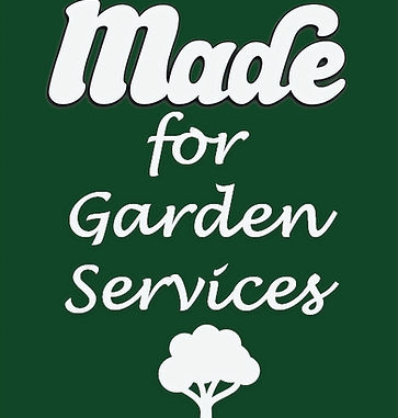 Screenshot 2025-03-15 224951_edited_edited.jpg