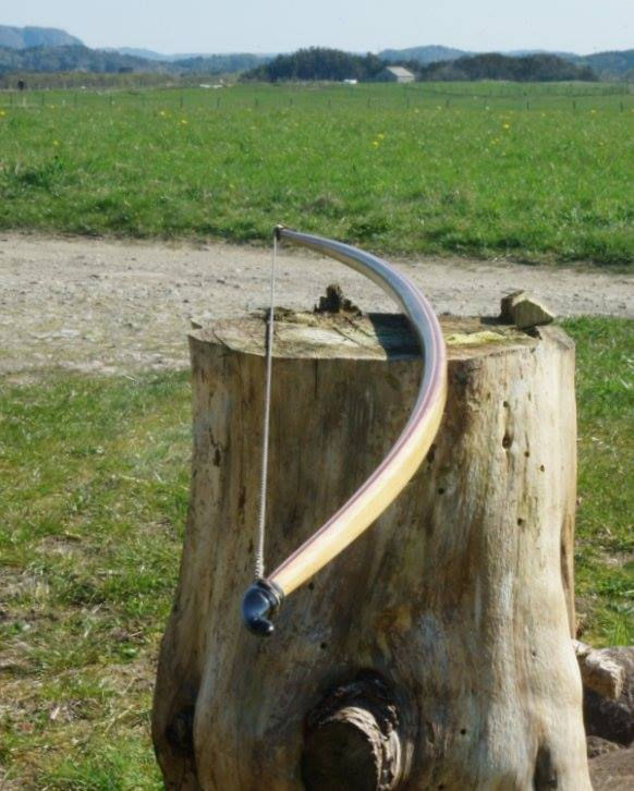 Miniatyrbilde: Engelsk viktoriansk langbue