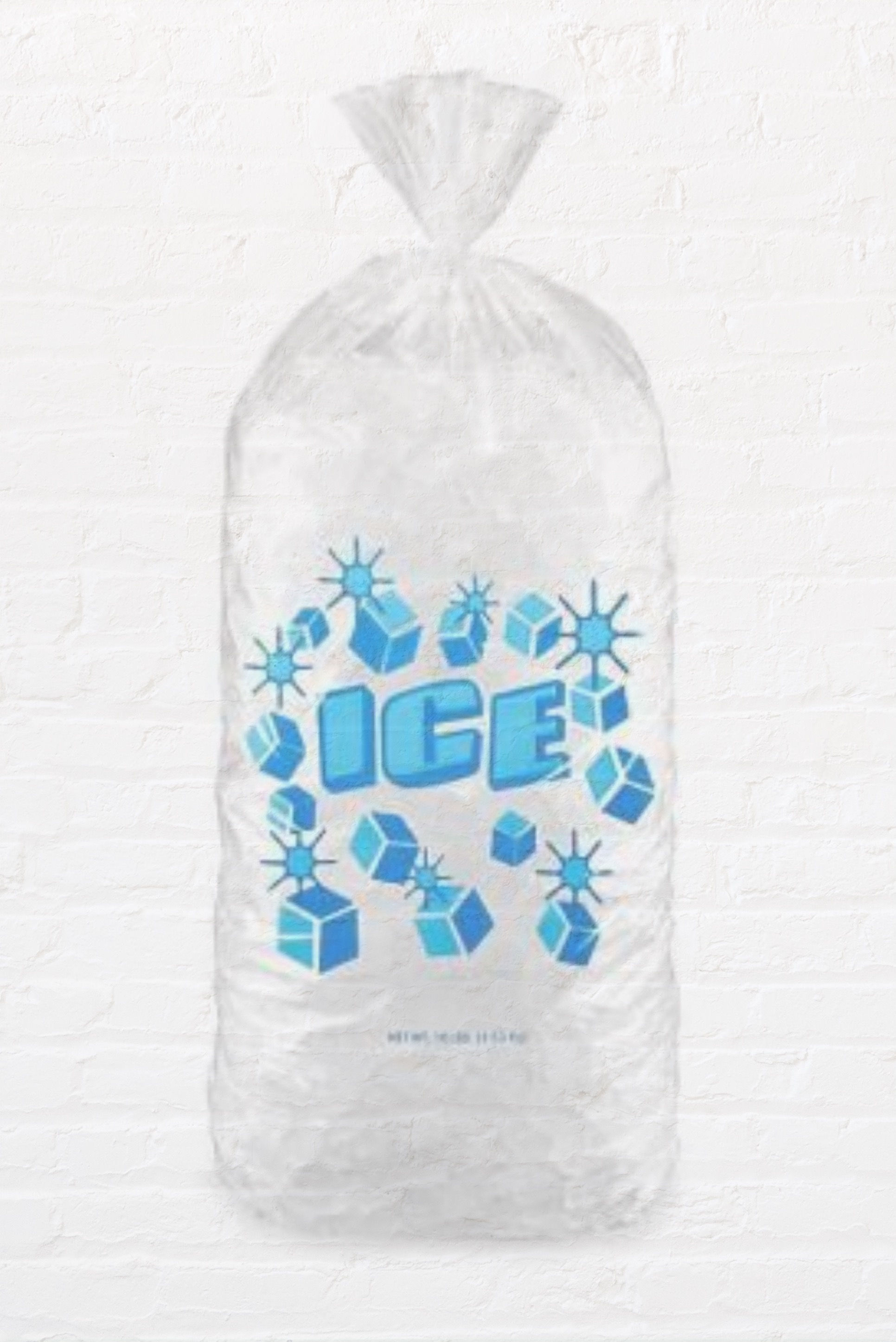Bag of Ice