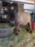 PXL_20260512_190417092.jpg
