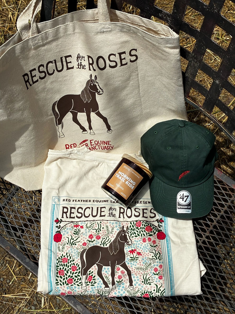 Thumbnail: R4R25 Tote Bag