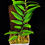 Thumbnail: Pothos Scandens 