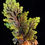 Thumbnail: Selaginella sp metallic green 