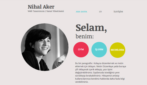 website cv