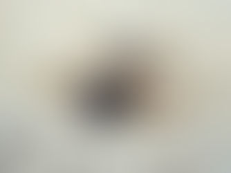 【12月14日(木)】テングっ鼻