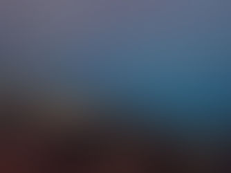 クロユリハゼが綺麗