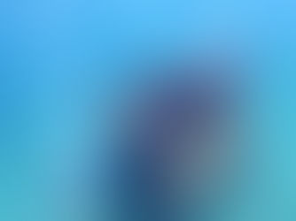 【2月26日(日)】土管魚礁にウミウシがついてきたみたい