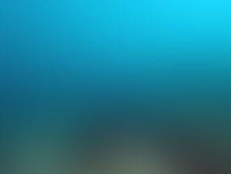 【11月19日】ますますこのシーズンらしい海に